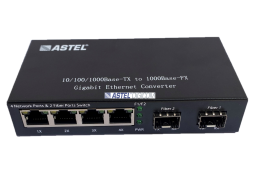 Media Converter 4 Port Ethernet to Fiber 2 Gigabit  SFP Slots